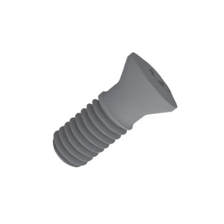 Palbit P0250704 SRP-Spare Parts-Screw 290031300